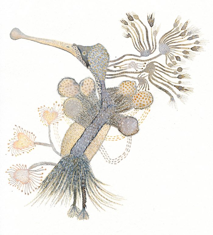 ""Impossible bird" Acuarelas y tintas. 21,28 x 22,3 cm.