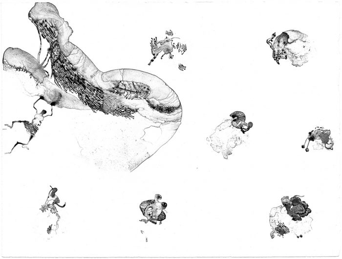 "Micro criaaturas" Litografía. Aguada. 50 x 38 cm.