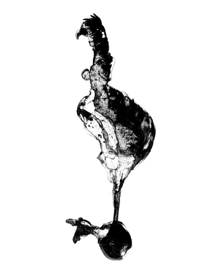 "Pájaro". Litografía. Aguada. 25,2 x 50 cm.